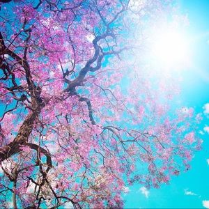 Meet your Posher, Chelsea